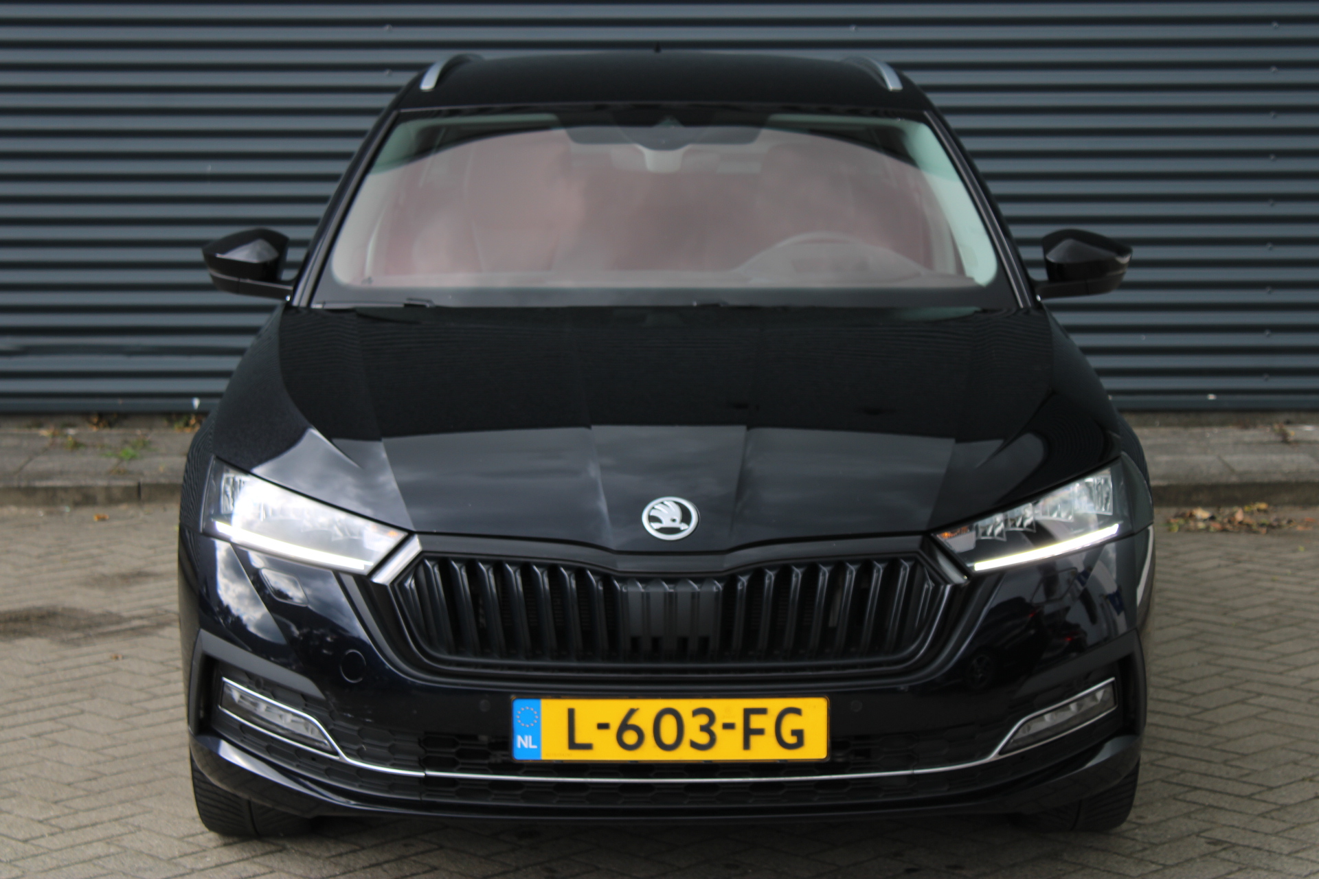 47433448-7.jpg